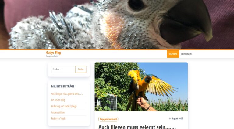Gaby-Blog