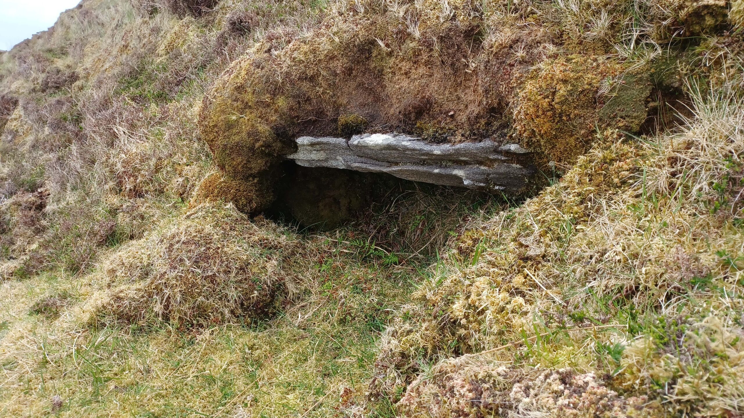 Shelter